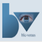 Website-Entwickler blic-voraus