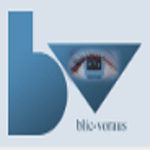 Website-Entwickler blic-voraus logo