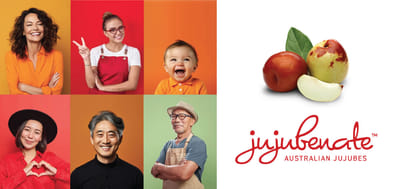 Jujubenate Branding and Marketing - Website Creatie