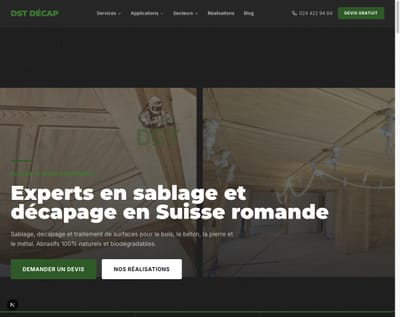 DST Décap - Référencement naturel