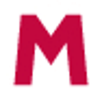 Mega Services logo