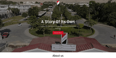 Nasr Company (NCIC) - Corporate Website - Creación de Sitios Web