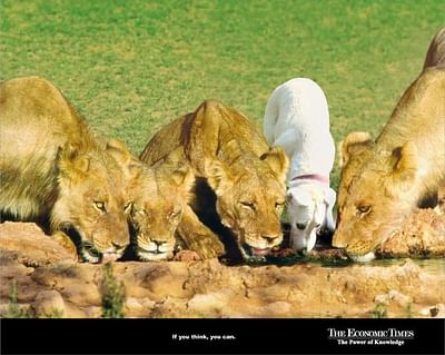 LIONS - Werbung