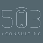 503 Consulting