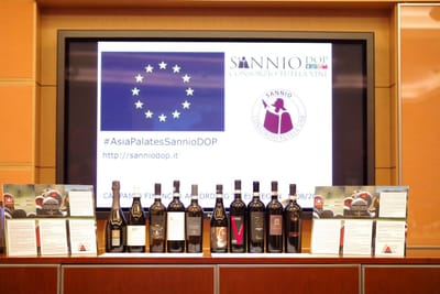 Sannio Wines Brand Activation - Public Relations (PR)