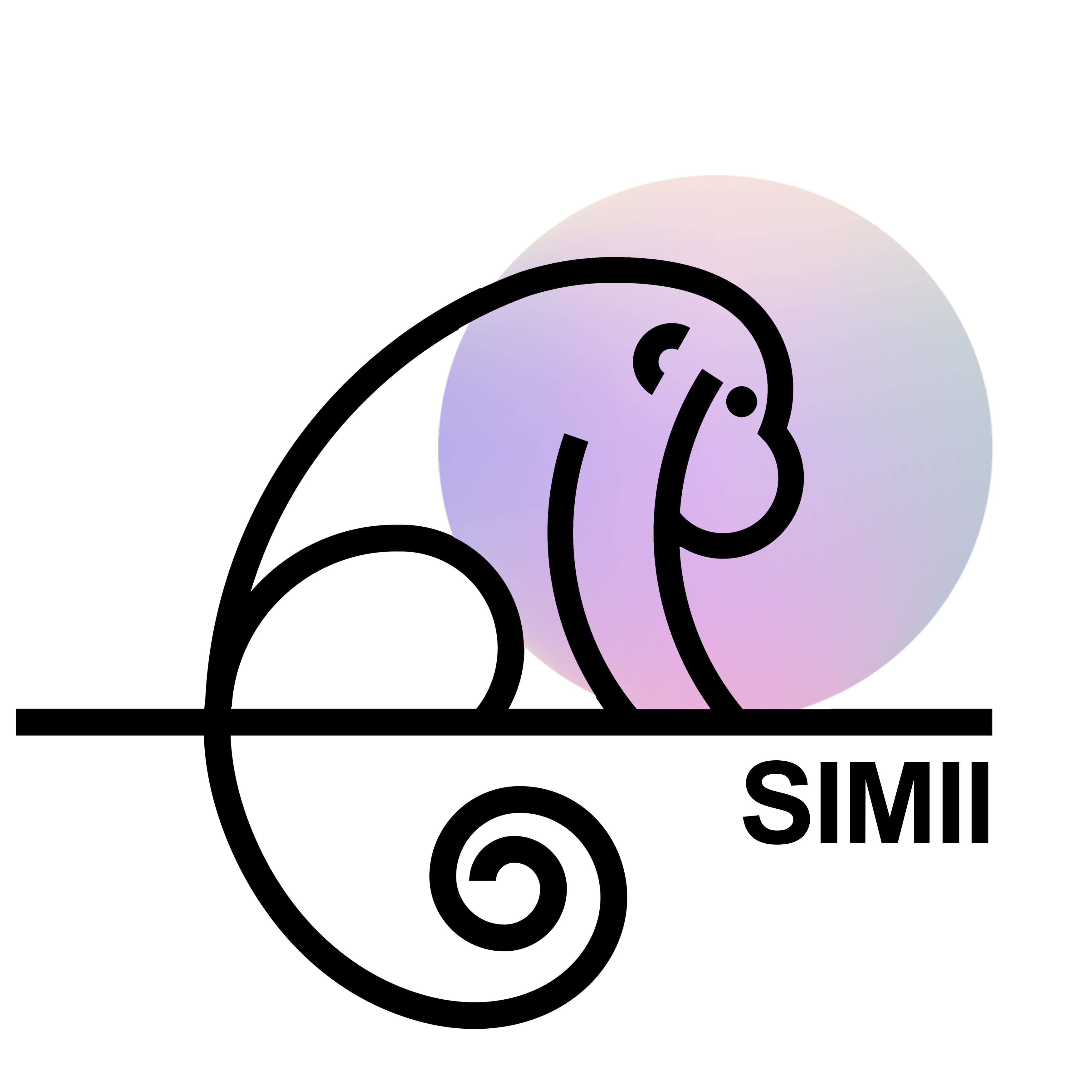 SIMII Mallorca