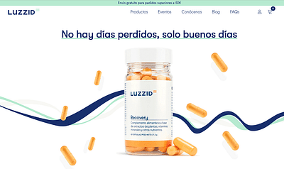 Luzzid - SEO