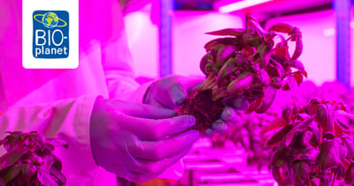 Vertical farming Bio-Planet - Image de marque & branding