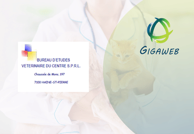 Création d'une console administrative pour BEVC - Application web