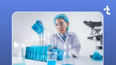 Direct Material Risk Assessment: Snowflake-Based Data Solution - Software Development
