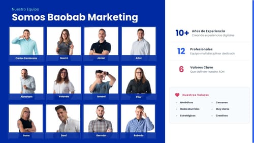 Baobab Marketing cover