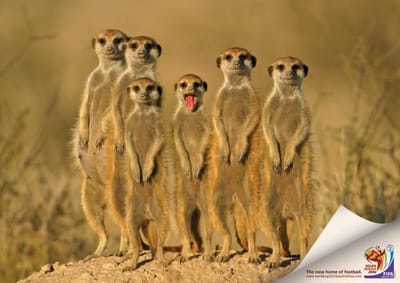 Mongoose - Advertising
