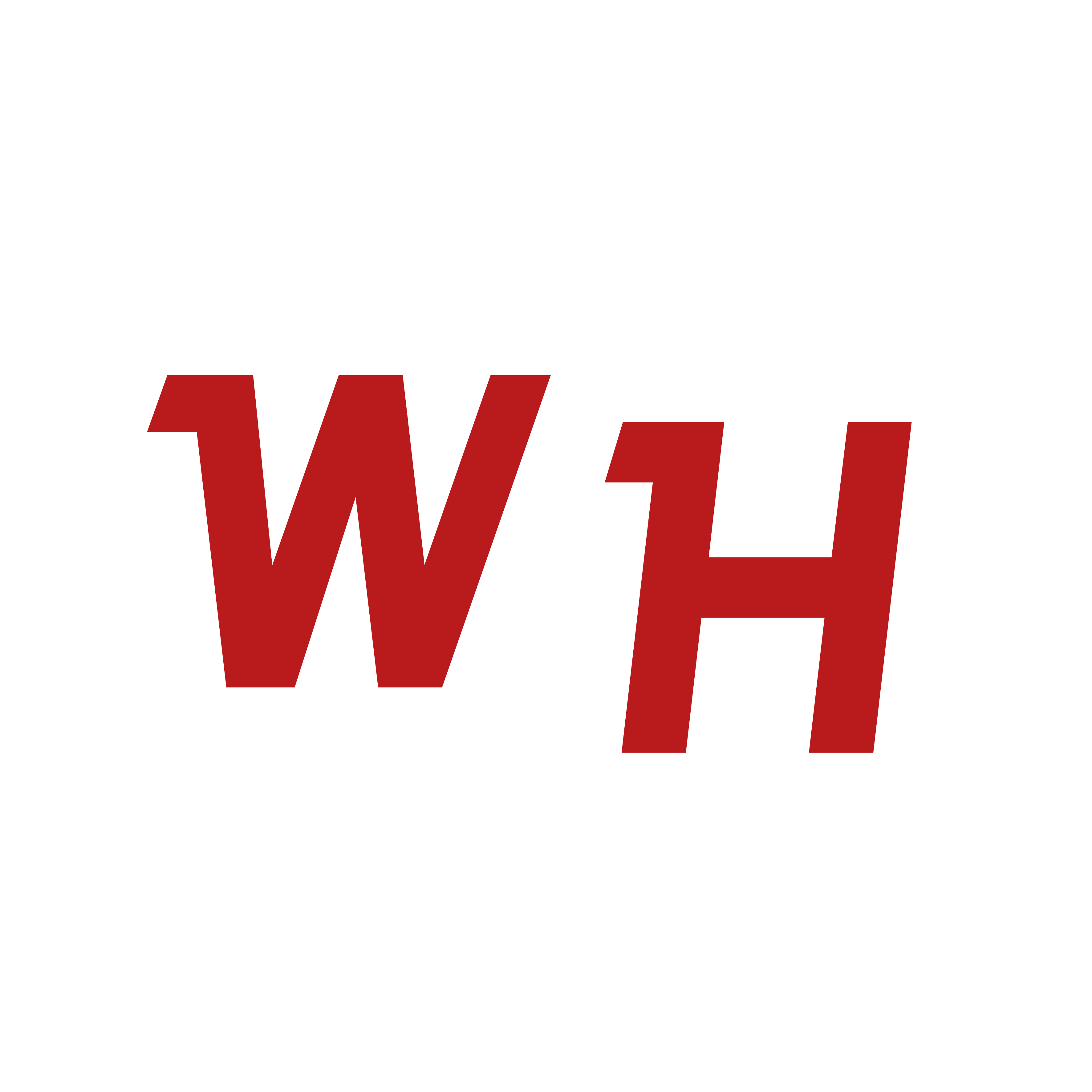 Web Heroes | Web Agency in Brescia