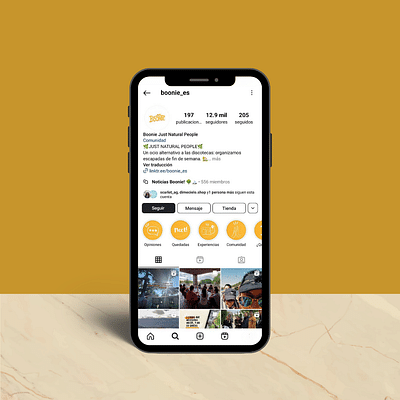 Gestión Redes Sociales y Marketing de Influencers - Diseño Gráfico