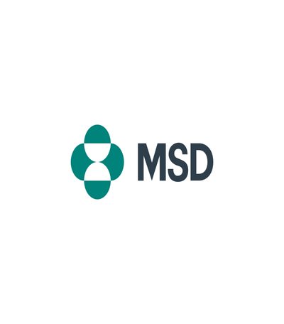 MSD - Digital Strategy