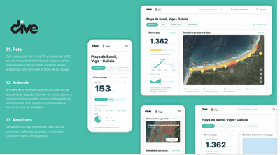 Dive red social de Buceo - Software Entwicklung