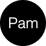 Pam Studio logo