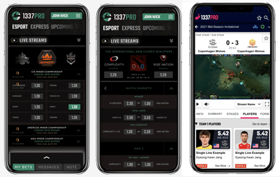 UI Design, Branding & eSport Livestream Company - Ergonomy (UX/UI)