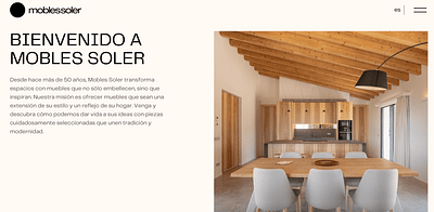 Website development - Moblessoler - Marketing