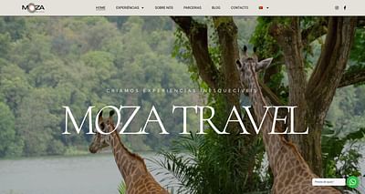 Proyecto de SEO para MozaTravel - Website Creation