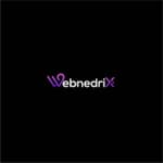 Webnedrix logo