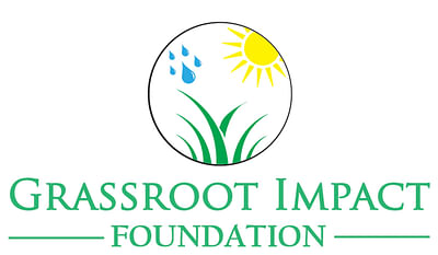 Website Design for Grassroot Impact Foundation - Website Creation