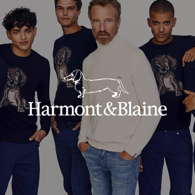 Harmont & Blaine - SEO