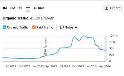 SEO Strategy Propels SaaS LMS to Global Success - SEO