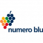 Numero Blu logo