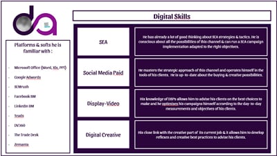 Recrutement Consultant Online Ads - Online Advertising