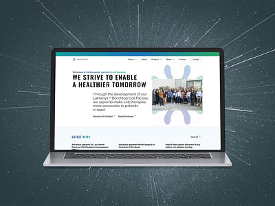 Website Biotech-Start-Up - Webseitengestaltung
