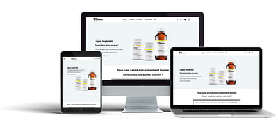 Stratégie digitale e-commerce alimentaire - Website Creation