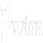 Marcus Thomas LLC
