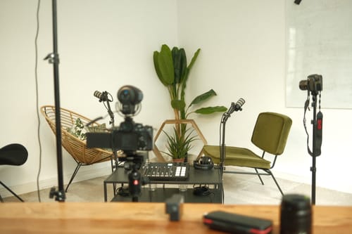 Pilea Agency cover