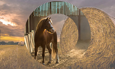 M&T Haylage - 360 Digital Services - SEO