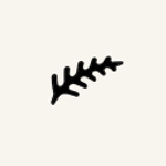 Fern. logo
