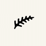 Fern.