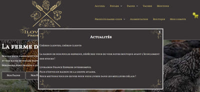 Création Web / Design / SEO - E-commerce