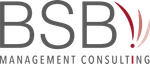 BSB Management Consulting logo