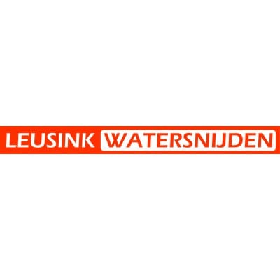 Leusink webontwikkeling