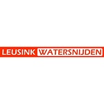 Leusink webontwikkeling
