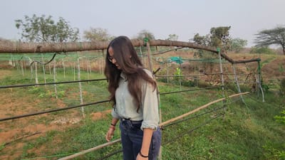 Food Forest - 3D