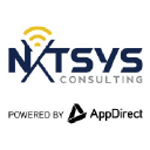 NXTSYS Consulting logo