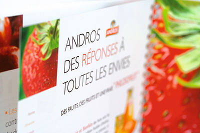 Édition et photographie Andros - Branding & Positioning