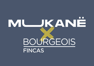 Bourgeois Agency - Publicité en ligne