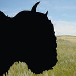 Buffalo Casting logo