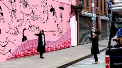 Klarna "Who's A Good Shopper?" — Gold OBIE-Winning Dog-Attracting - Advertising