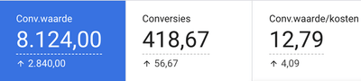 Van dure leads naar een ideale ROAS met Google Ads - Onlinewerbung