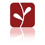 Verity Consulting
