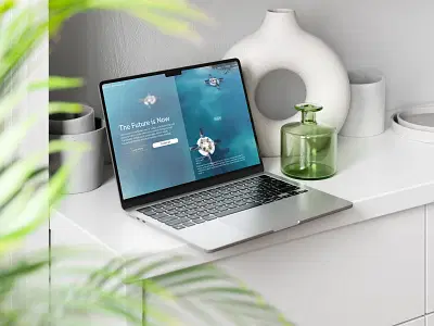 OceanCommunity | Website and Branding - Branding & Positioning